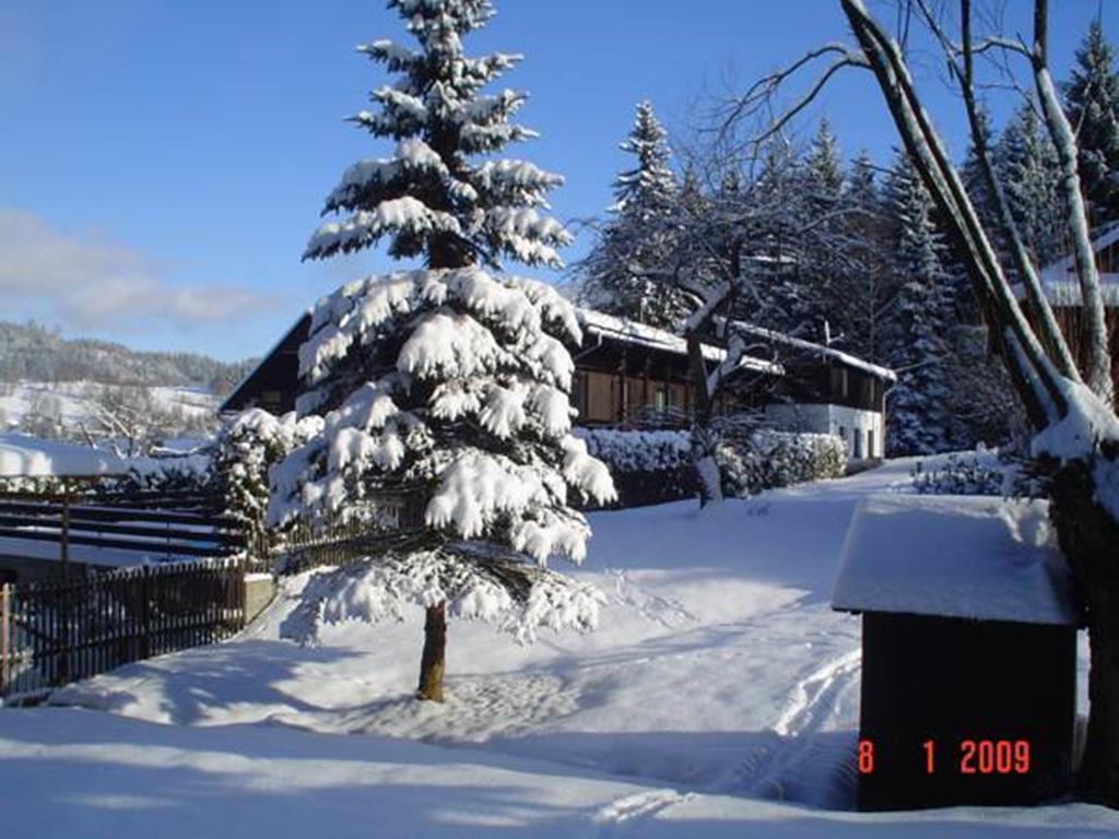 Relax Pension U Nosku Smržovka Zimmer foto